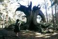 Pan's Labyrinth pic2